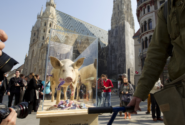 Marie Cochons Erste Stadtwanderung Wien